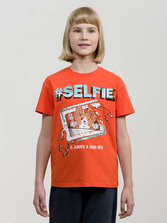 Футболка Pelican