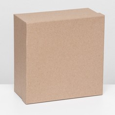 Подарочная коробка крафт, 24 х 24 х11,5 см No Brand