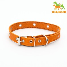 Ошейник кожаный однослойный с рифлеными люверсами, безразмерный, 50 х 2 см, ош 36-44 см, рыжий 70059 Пижон