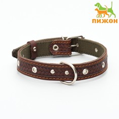 Ошейник комбинированный безразмерный, кожа/брезент, 60х3 см, ош 30-57 см, коричневый/зеленый Пижон