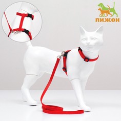 Комплект для кошек, ширина 1 см, ош 16,5-27 см, ог 21-35 см, поводок 120 см, красный Пижон