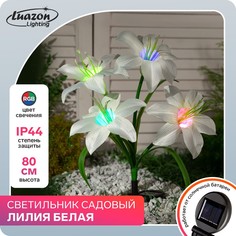 Садовый светильник на солнечной батарее Luazon Lighting