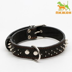 Ошейник кожаный двухслойный клепаный Пижон