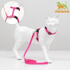 Комплект для кошек, ширина 1 см, ош 16,5-27 см, ог 21-35 см, поводок 120 см, розовый Пижон