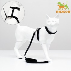 Комплект для кошек, ширина 1 см, ош 16,5-27 см, ог 21-35 см, поводок 120 см, черный Пижон