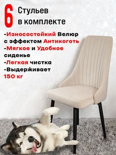 Комплект стульев для кухни и офиса ArtHolding Руссо, 6 шт, Бежевый