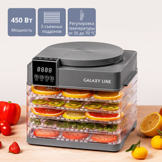 Сушилка для овощей и фруктов GALAXY LINE GL2630 серая