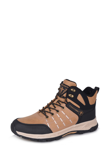 Ботинки мужские T.Taccardi 216185 коричневые 42 RU