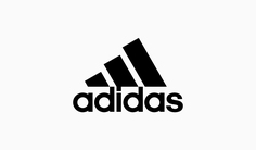 Шорты женские Adidas AY0110 зеленые L