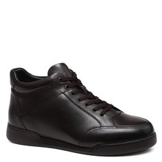 Кеды мужские Tendance SN198H-02 коричневые 45 EU