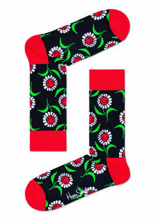 Носки женские Happy socks SFW01 разноцветные 36-40