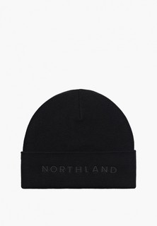 Шапка Northland