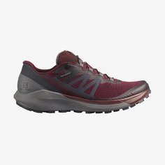 Кроссовки женские Salomon Sense Ride 4 W Wine/Tasting-Quiet/Shade-Ebony RU 39,5