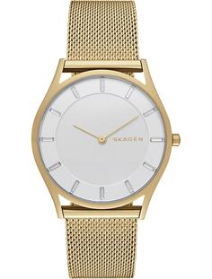 Наручные часы Skagen LADIES SKW2377