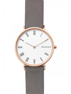 Наручные часы Skagen LADIES SKW2674