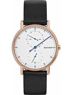 Наручные часы Skagen GENTS SKW6390