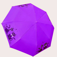 Зонт женский Raindrops RDH05723851-3 фиолетовый