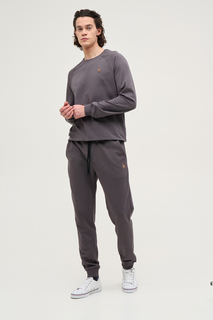 Спортивные брюки мужские US Polo Assn G081SZ0OP0HEROLDSK023-R серые L