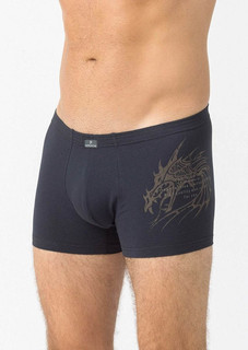 Трусы мужские Pantelemone PMH серые 46 RU