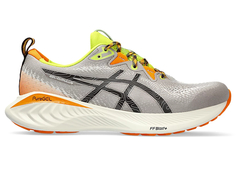 Кроссовки мужские Asics GEL-CUMULUS 25 TR серые 11 US