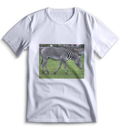 Футболка Top T-shirt зебра ( с зеброй) 0104 белая 3XS