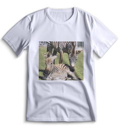 Футболка Top T-shirt зебра ( с зеброй) 0089 белая 3XS