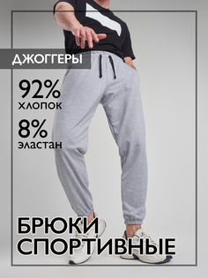 Спортивные брюки мужские Norm БС серые 48 RU