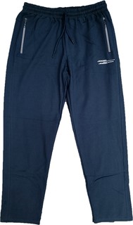 Спортивные брюки мужские Grand Lavita 3703033 синие 4XL