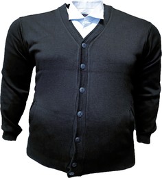 Кардиган мужской Olser 3030293 синий 10XL