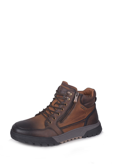 Ботинки мужские T.Taccardi 220643 коричневые 43 RU