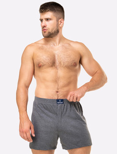 Трусы мужские Baykar BR1119 серые XL