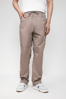 Спортивные брюки мужские Reebok HT8176 коричневые L
