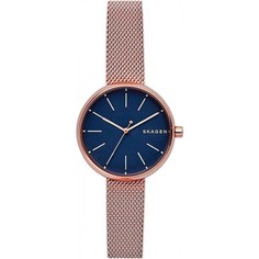 Наручные часы женские Skagen SKW2593