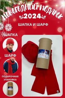 Комплект шапка и шарф мужской MOM №1 TUB-88-5550F красный