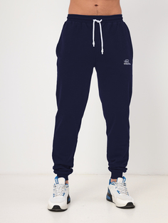 Спортивные брюки мужские OCELOT eco Бестселлер синие 52 RU