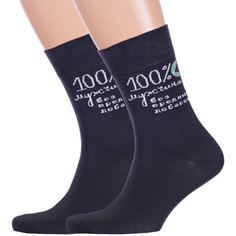 Комплект носков мужских Брестский чулочный комбинат 2-20С2146 серых 27, 2 пары