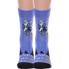 Комплект носков мужских Брестский чулочный комбинат 2-20С2146 синих 29, 2 пары