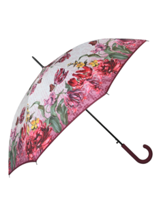 Зонт женский Airton 1626 белый/бордовый