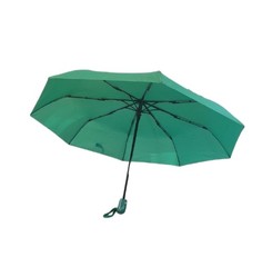 Зонт женский Beta F1901А зеленый