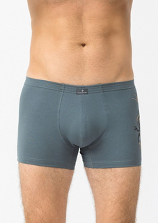 Трусы мужские Pantelemone PMH-1349 зеленые 46 RU