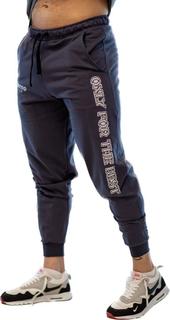 Спортивные брюки мужские INFERNO style Б-001-003 серые M