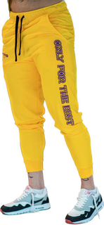 Спортивные брюки мужские INFERNO style Б-001-003 желтые XL