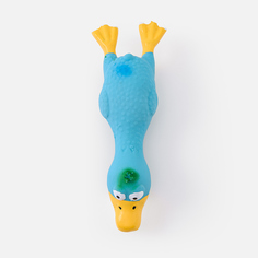 Игрушка для собак Mascube, птица, SM032-029, синяя