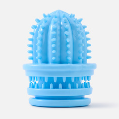 Игрушка для собак Mascube, кактус SM032-023, синяя