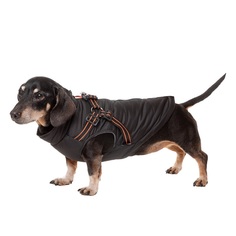 Жилет для собак Gamma Спорт, унисекс, черный, оранжевый, полиэстер, L, длина спины 34 см