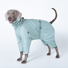 Комбинезон для собак Монморанси, утепленный, олива, дюспо, длина спины 46 см