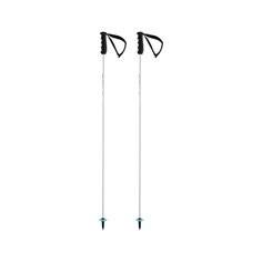 Горнолыжные палки Head World Cup Rebels Carbon White/Black/Speed Blue 23/24, 125