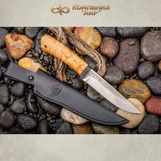Нож туристический АиР Златоуст Лиса сталь 95х18 рукоять карельская береза