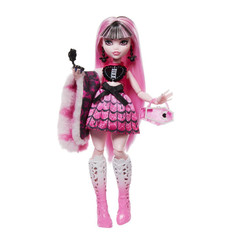 Кукла Monster High Draculaura с аксессуарами, HNF73