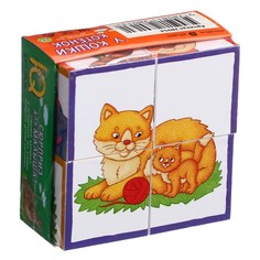 Айрис-пресс Умные кубики «У кошки котёнок», в поддончике, 4 штуки